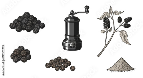 Detailed depiction of black peppercorns and pepper plant accompanied by a grinder