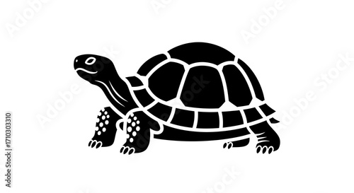 Elegant silhouette depiction of a turtle, presented in a minimalistic black and white design