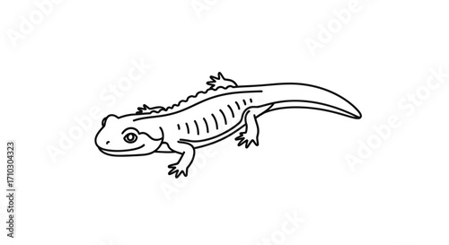 Minimalistic illustration of a newt with outlined details and smooth lines representation