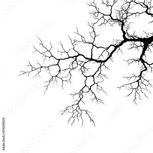 Silhouette of tree branches with intricate patterns against a stark white background creating contrast art