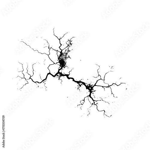 Illustration of a black branching crack pattern resembling lightning on a white background design element