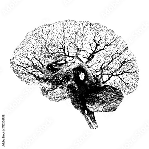 Stylized brain illustration with tree like branches in black and white on a white background design art