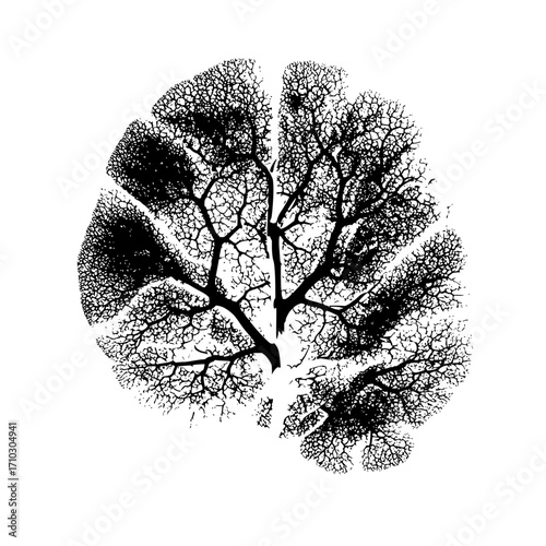 Abstract black and white tree silhouette with intricate branch patterns forming a circular shape design