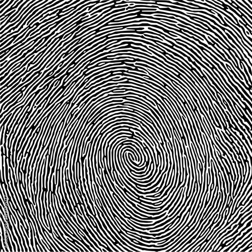 Detailed black and white fingerprint image with concentric swirling lines and ridges pattern design art