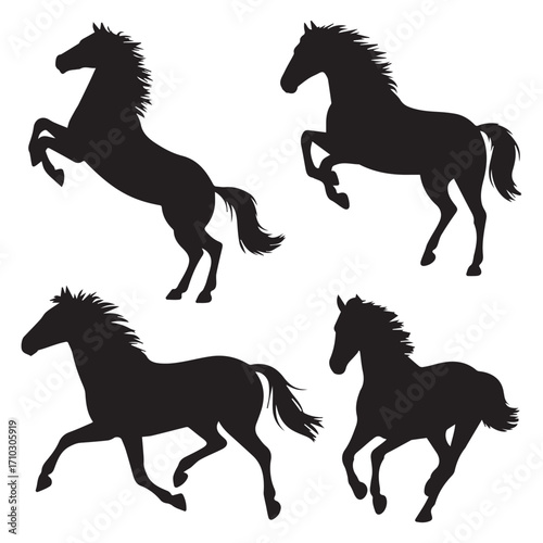 Four Black Horse Silhouettes in Various Poses on White Background