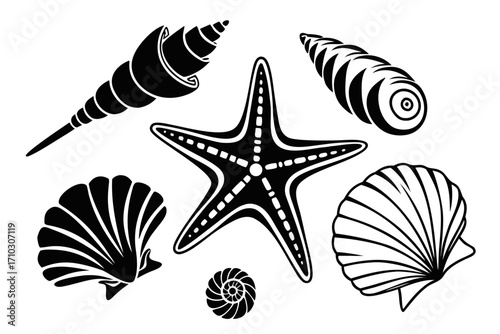 Collection of black silhouettes of seashells and starfish on white background