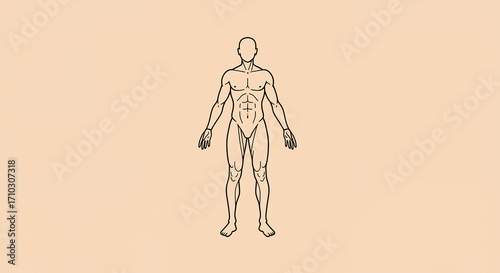 Human body diagram