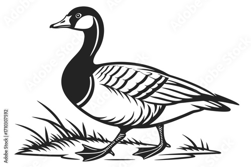 Stylized black and white illustration of a canada goose standing in grass
