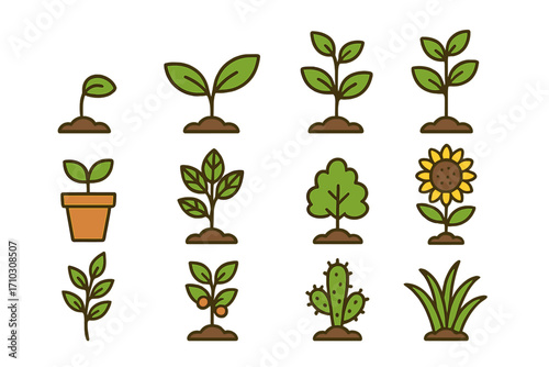 Various simple plant icons illustrating growth stages and types, seedling, sprout, flower, cactus, tree, potted plant, gardening symbols, nature vector cartoon illustration