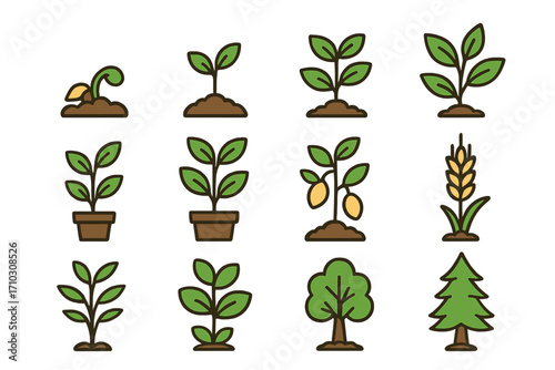 Various simple plant icons illustrating growth stages, types including seedlings, potted plants, fruiting plants, wheat, and trees in a clean grid layout for design, education, and gardening concepts