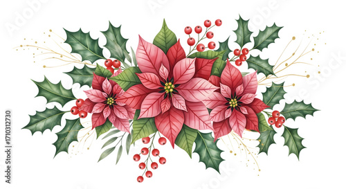 Christmas poinsettia and holly floral arrangement isolated on transparent background