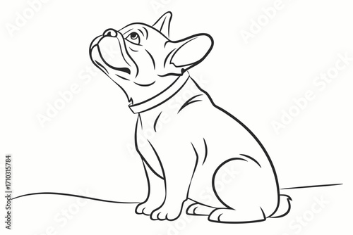 Line art drawing of a french bulldog sitting and looking up