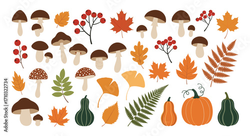 A colorful assortment of autumn elements including mushrooms pumpkins and leaves.