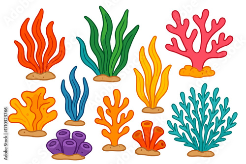 Colorful seaweed and coral set. Vector cartoon illustration of underwater marine plants. Aquatic ocean life collection for design. Seaweed, algae, coral reef elements isolated.