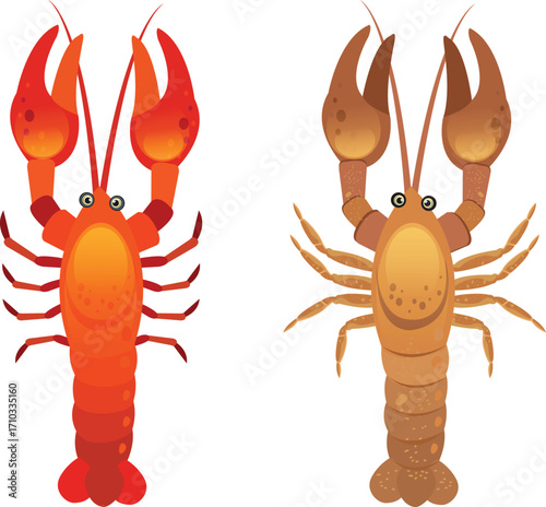 vector illustration of lobster