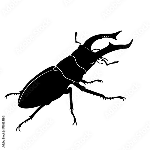 Stag beetle silhouette isolated on white background