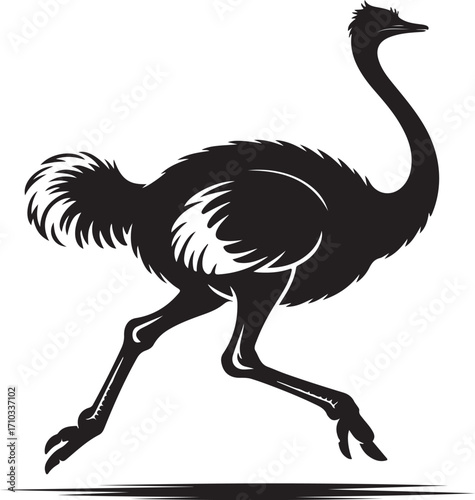 Silhouette of a running ostrich in motion