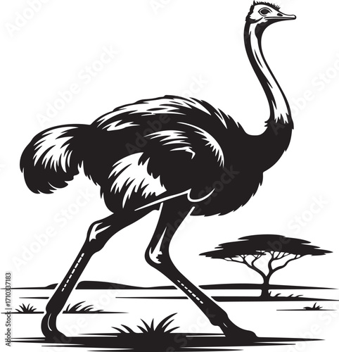 Stylized ostrich in african savannah landscape illustration