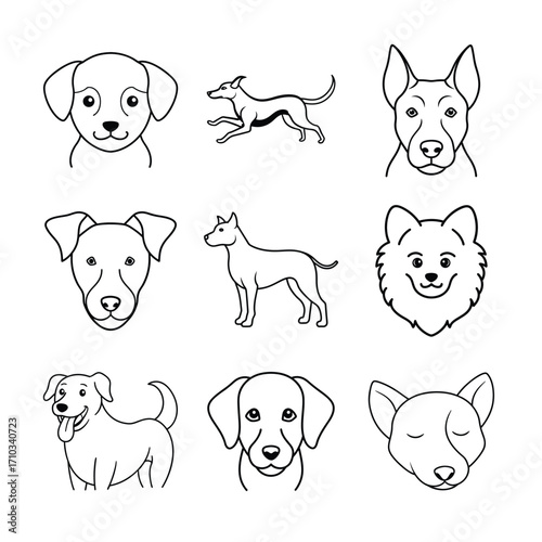 set of dogs face