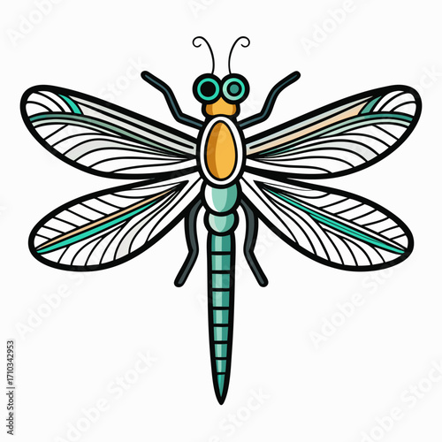 dragonfly vector illustration