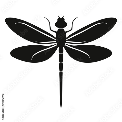 dragonfly vector illustration
