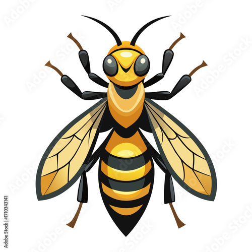 bee vector illustration