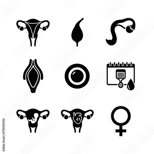 A set of black silhouette icons depicting the female reproductive system, gynecology, and menstruation.