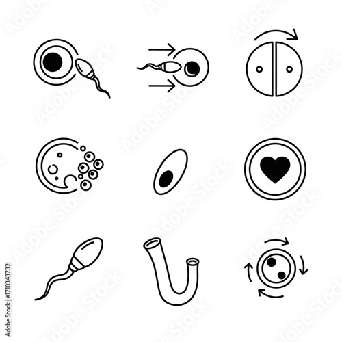 A collection of line art icons depicting human fertilization, embryology, and reproduction processes.