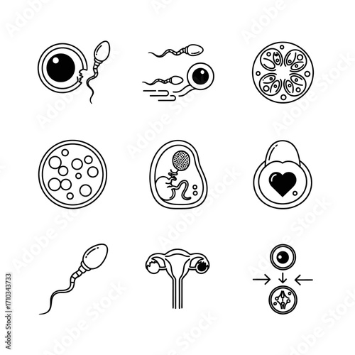 A collection of black and white line icons illustrating human reproduction, fertilization, and embryonic development.