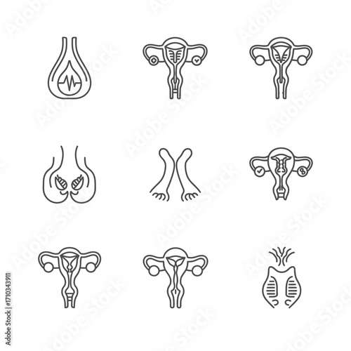 A set of linear icons for gynecology, illustrating the female reproductive system, IUD, and menstrual cycle.