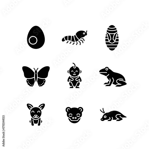 A collection of black glyph icons showing various animals and insect life cycle stages like egg, larva, and pupa.