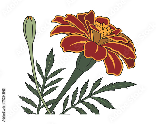 "Golden Marigold Blossoms Brighten Gardens with Vibrant Beauty"