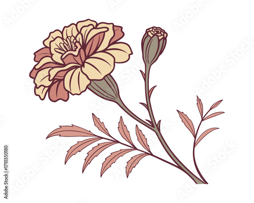 "Golden Marigold Blossoms Brighten Gardens with Vibrant Beauty"