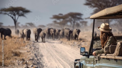 A woman observing elephants in the wild from a safari vehicle on a dirt road surrounded by beautiful trees in an African landscape with vibrant nature