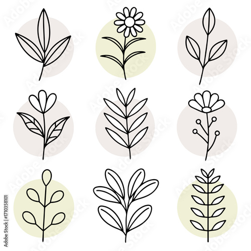 Collection of nine simple line art botanical illustrations