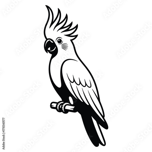 parrot on a branch