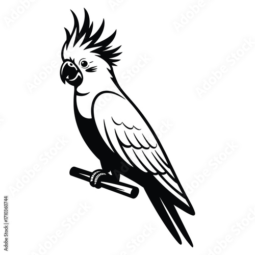 parrot on a branch