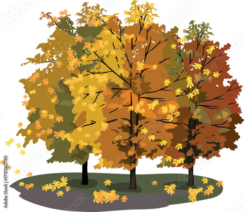 Horse chestnuts with bright orange autumn crown and falling leaves isolated on white background