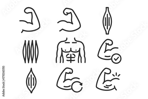 Muscle and strength simple line icon set. Bicep, arm, torso, and abs icons. Fitness, gym, and bodybuilding concept. Human anatomy and muscle fiber. Editable stroke vector.
