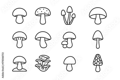 Simple cartoon mushroom line icons collection, isolated editable stroke vector set, icon bundle for web, apps, cards, books, transparent background design