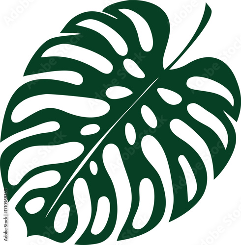 Isolated Monstera Deliciosa Leaf Illustration on White Background, a Tropical Design