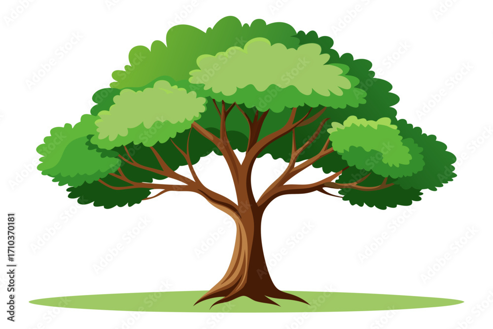 Fototapeta premium tree with green leaves