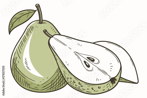 illustration of pear with leaf
