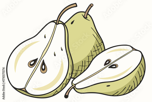 vector illustration of pear