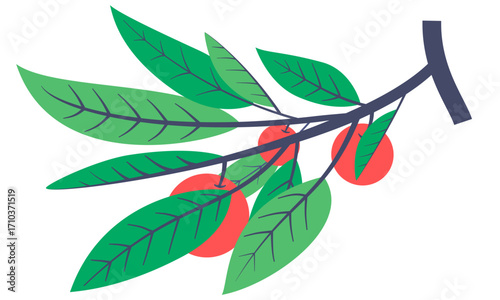 Illustration of an apple tree branch with green leaves and red fruits.