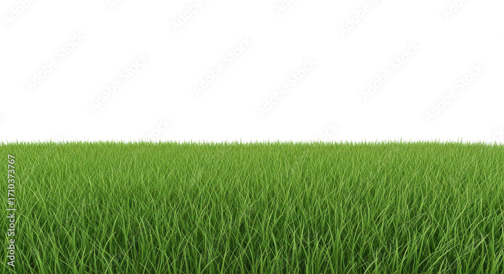 Obraz premium A field of green grass and black on transparent background
