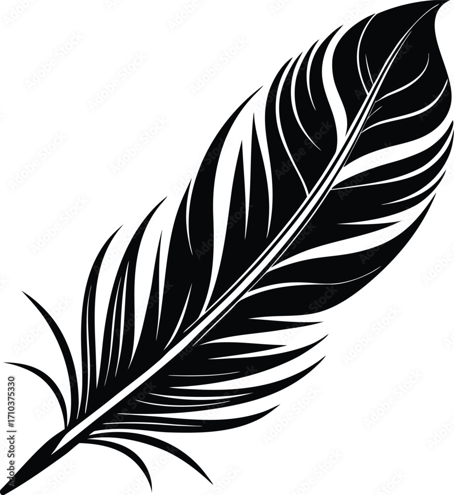 Obraz premium A detailed vector illustration set of elegant quill and bird feathers, isolated on a white background