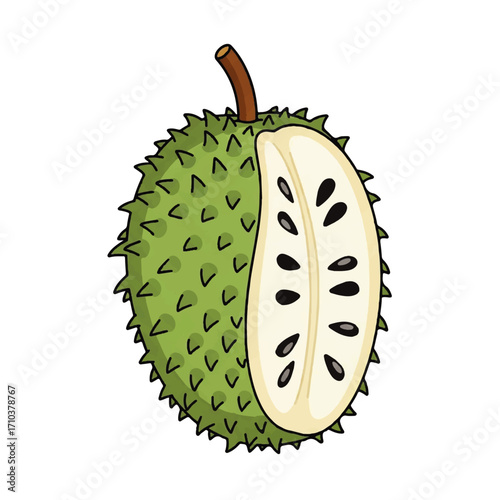Soursop Fruit Vector Illustration - A Cutaway View of the Tropical Fruit with Seeds
