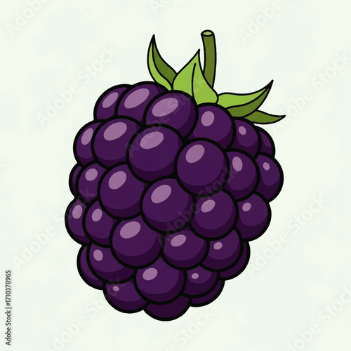 Juicy Blackberry Fruit Illustration - A Sweet and Delicious Berry