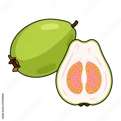 A vector illustration of a whole green guava and a cross-section showing the pink pulp and seeds, a tropical fruit design element isolated on white